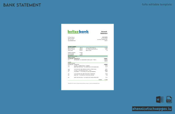 Belize Bankkontoauszug der Belizebank (Excel-Version 2) – Beispielvorschau